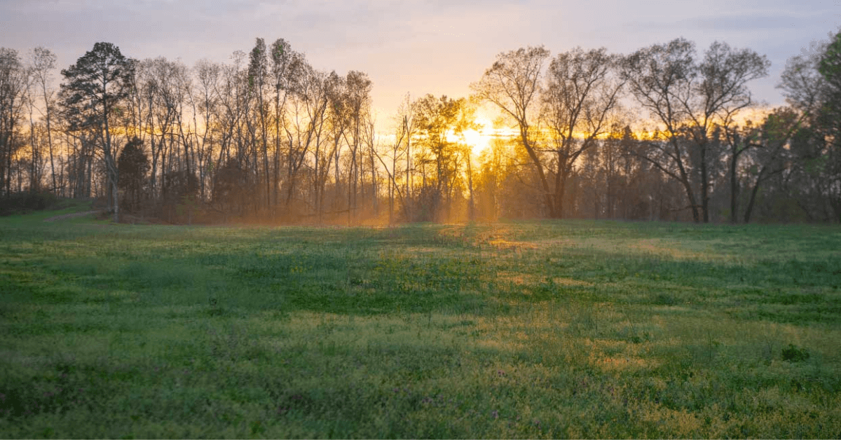Featured Image for Find an Agent